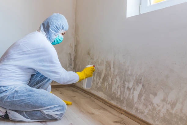 Mold inspector in Glencoe performing thermal imaging